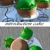 Introduction Cake