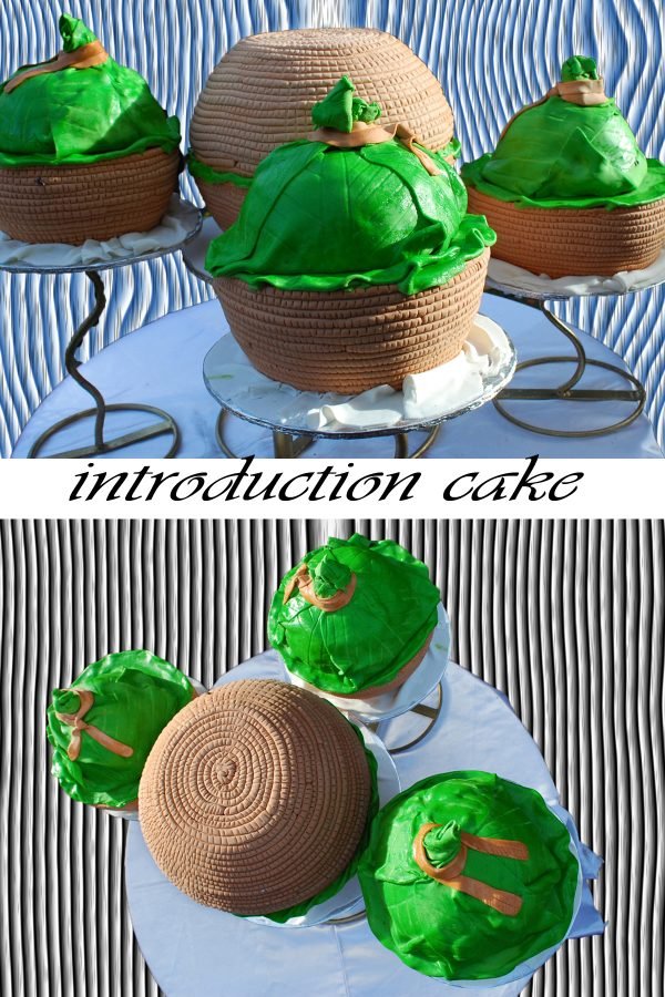 Introduction Cake