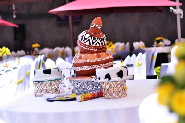 Introduction Cake