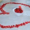 Proposal & Engagements