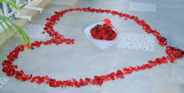 Proposal & Engagements