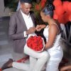 Proposal & Engagements